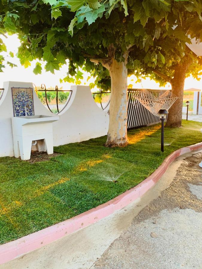Terre Del Faro Apartment Scanzano Jonico Exterior photo